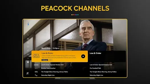 Screenshot 28
