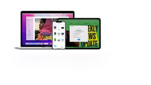 Screenshot 17