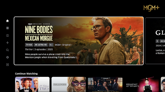 Screenshot 30