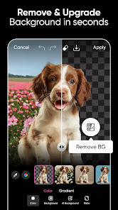 Screenshot 21