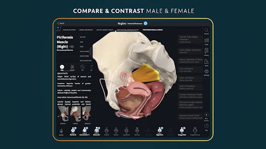 Screenshot 23
