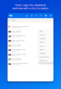 Screenshot 17