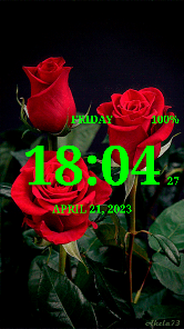 Screenshot 14