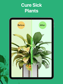 Screenshot 24