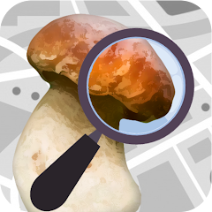 Mushroom Identify - Automatic