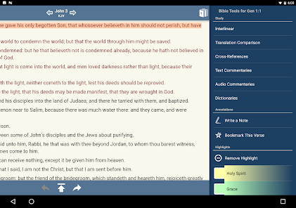 Screenshot 17