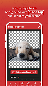 Screenshot 16