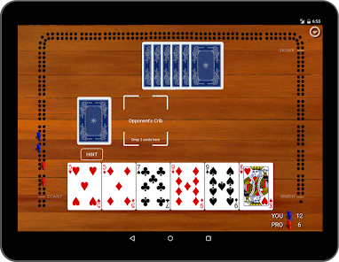 Screenshot 19