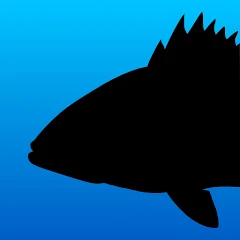 Fish Rules: Regulations & Maps