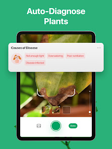 Screenshot 21